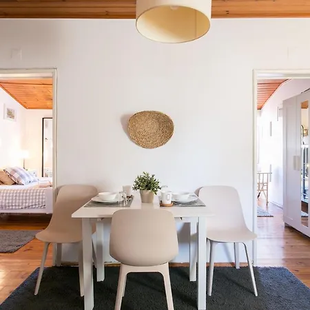 Down Chiado Easy Lissabon